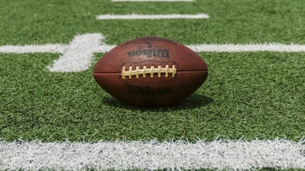 brown and black Wilson football